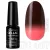 Profinails Gel Lac LED/UV lakkzselé 6gr No.407 (TC series)