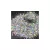 Niiza Confetti Mix #02