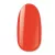 NiiZa Gél Lakk 4ml-422 *
