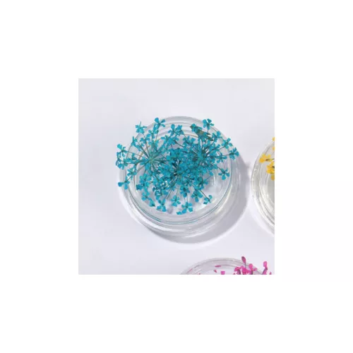 Szárított Virág Kis Tégelyes - Világoskék