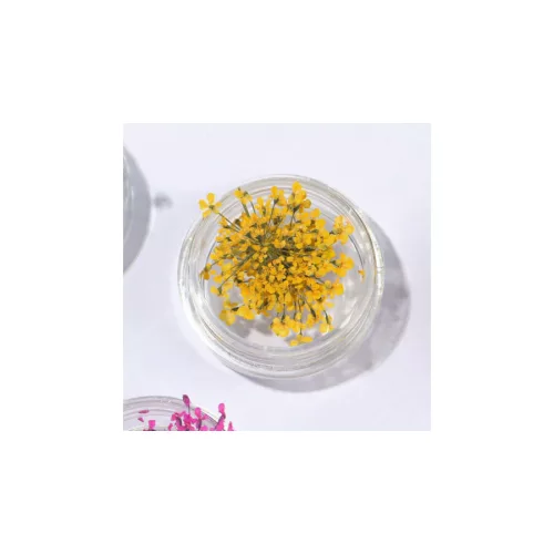 Szárított Virág Kis Tégelyes - Citromsárga