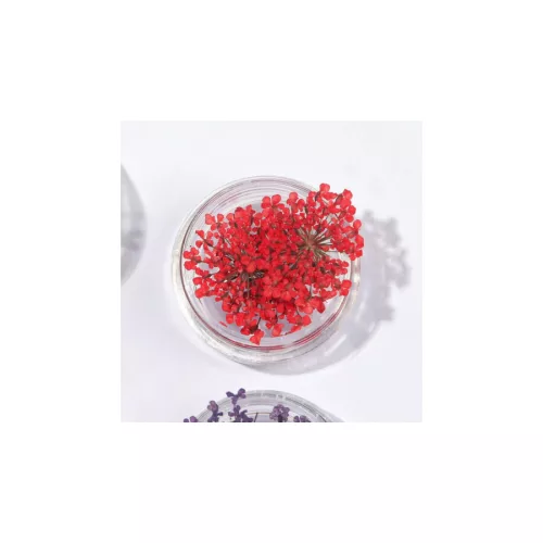 Szárított Virág Kis Tégelyes - Piros