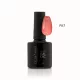 Celeb Nails 3step Gel lac NO. R0017 (8ml)