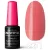 Profinails One Step Gel LED/UV lakkzs 6gr No.231