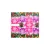 Perfect Nails Nail Dress Sticker - 839 *