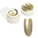 Venalisa Mirror Gold Color Painting Gel 5g