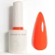 Venalisa New 90 Colors Pure Gel Polish 10ml - 5034c