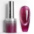 Venalisa Cat Eye Gel Polish 10ml - 5641