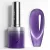 Venalisa Cat Eye Gel Polish 10ml - 5646
