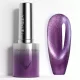 Venalisa Cat Eye Gel Polish 10ml - 5647