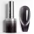 Venalisa Cat Eye Gel Polish 10ml - 5648