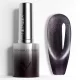 Venalisa Cat Eye Gel Polish 10ml - 5648