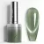 Venalisa Cat Eye Gel Polish 10ml - 5650
