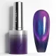 Venalisa Cat Eye Gel Polish 10ml - 5658