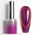Venalisa Cat Eye Gel Polish 10ml - 5660